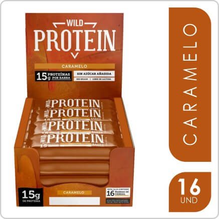 WILD PROTEIN CARAMEL DISPLAY 16UN